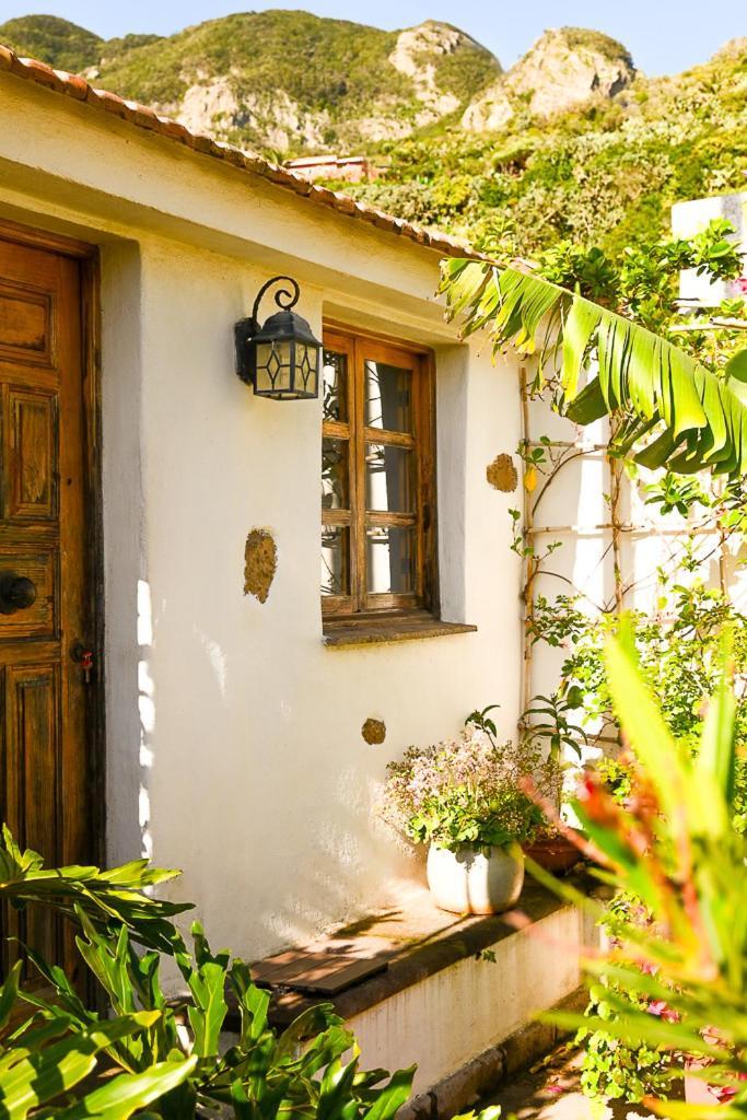 Casa Rural Chamorga - Pension - Guesthouse - Santa Cruz de Tenerife Exterior foto